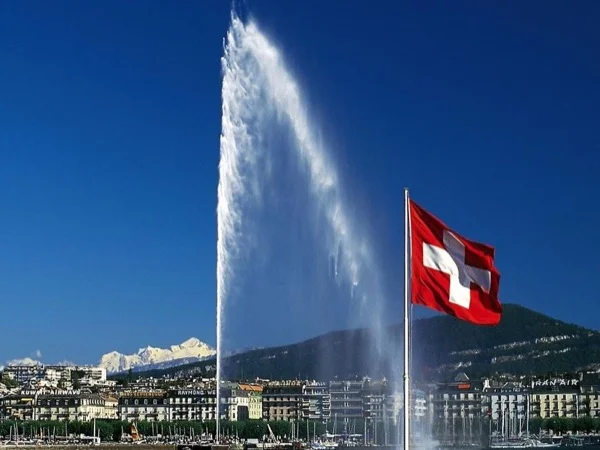 Cover media image