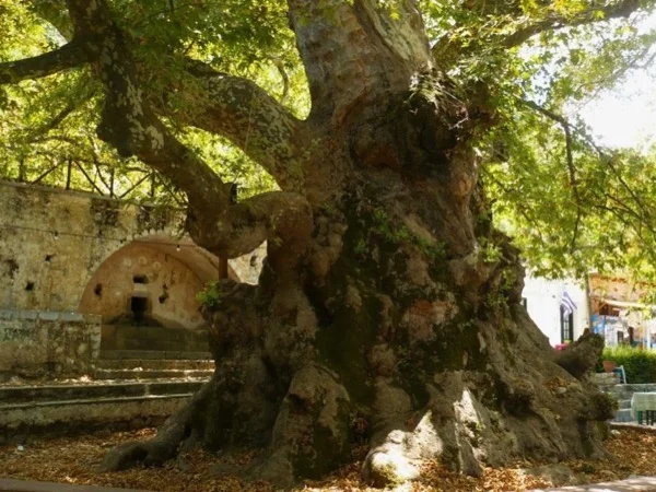 Between the Myths & Locals: Zeus Cave & Lassithi Plateau Villages from Heraklion
