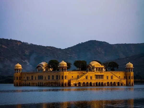 Cover media image