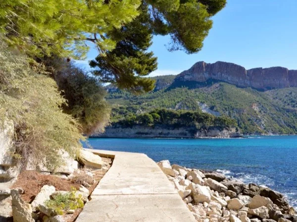 Bandol & Cassis Full Day Tour