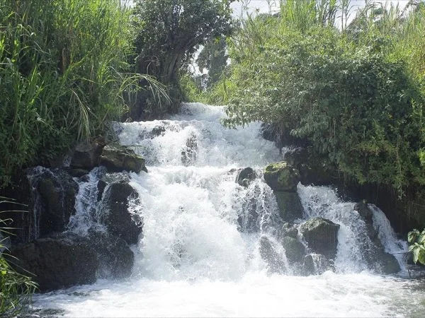 Exploring beautiful Nature of Rwanda, Multi Day Hiking Tour