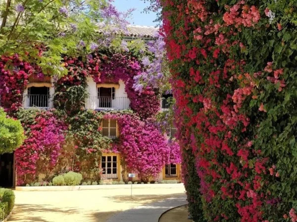 Las Dueñas Palace and Gardens two hours tour (tickets included!)