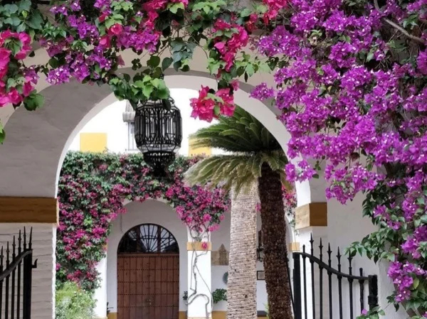 Living like Dukes: combined Tour Casa de Pilatos + Palace of Las Dueñas (tickets included!)