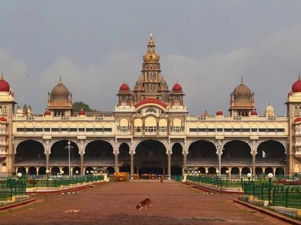 Cover media image