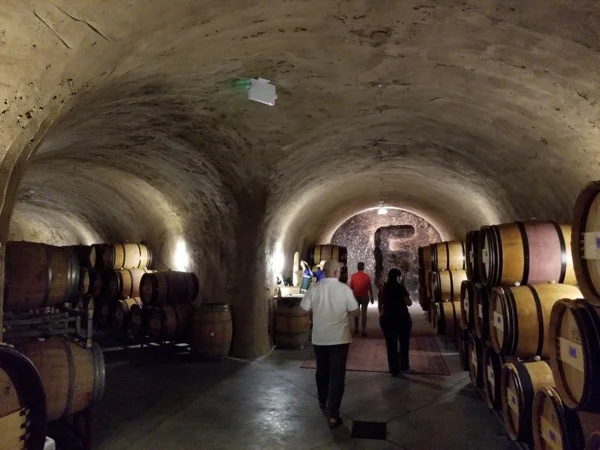 Sonoma Valley Private Wine Tour with Designated Driver