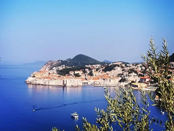Cover media image