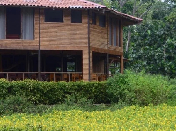 Scarlet Macaws & Chocolate Half Day Tour
