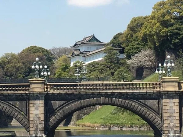 Tokyo Half Day Private Tour