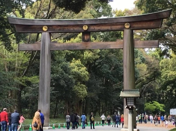 Tokyo Highlight Personalized Private Tour 6 hours