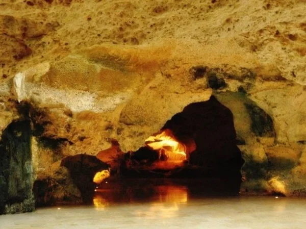 Cover media image