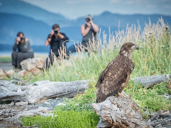 Half Day Focus on Haines Photography Tour
