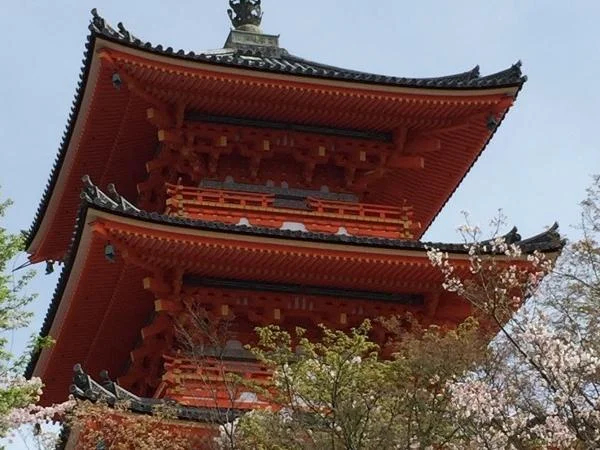 Enjoy Half Day Tour in Kyoto - Private Tour