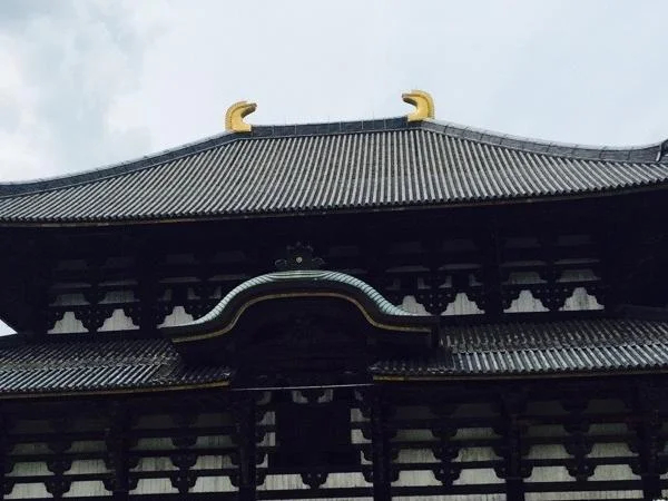 Half day tour in Nara - Private Tour