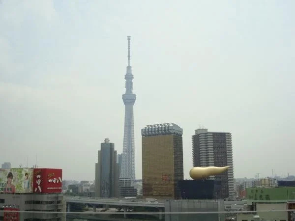 Best of Tokyo in 5 hours - Private Tour