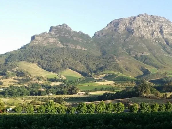 Cape Winelands - Stellenbosch .. Paarl and Franschoek