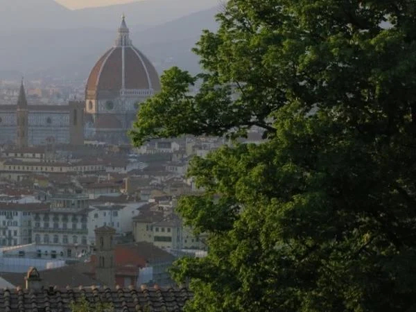 The Best of Florence: Uffizi, Accademia, Walking Tour
