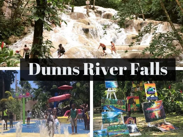 Dunn's River Falls - Private Tour