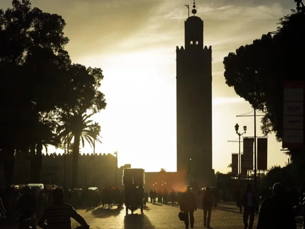 Marrakech historical walking half-day tour