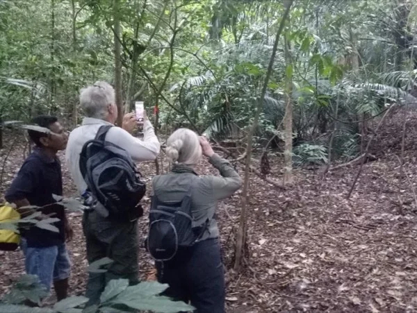 Sulawesi Wildlife in Tangkoko Nature Reserve - Four Day Tour