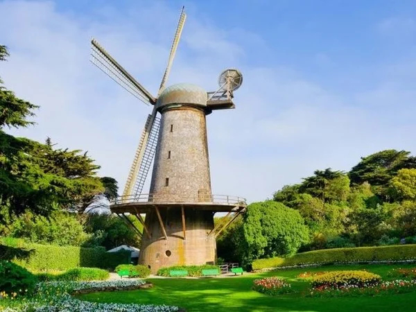 Golden Gate Park Tour