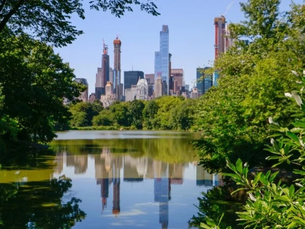 Central Park Hidden Gems- Live virtual tour