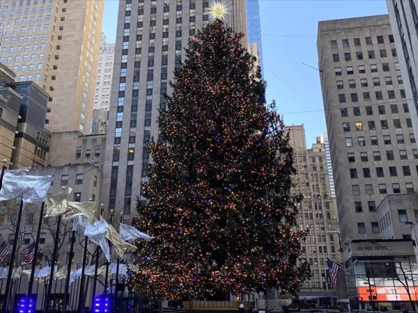 NYC Holiday Lights- Live virtual tour (Dec- January 5th)