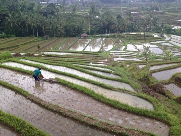 Bali World Heritage Site Full Day Tour