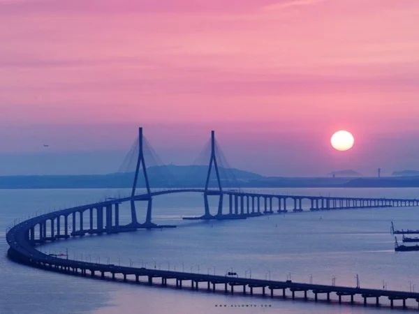 Cover media image