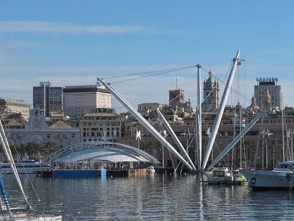 Cover media image