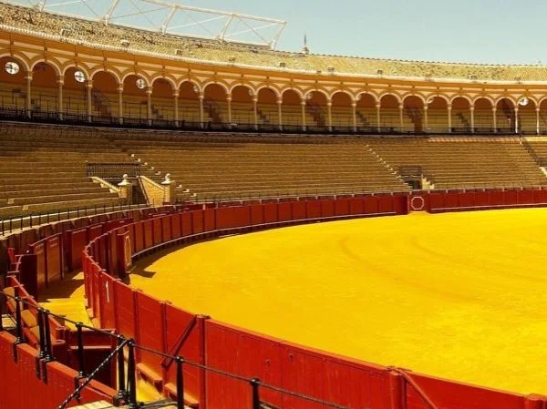 A Seville Full Immersion Private Tour