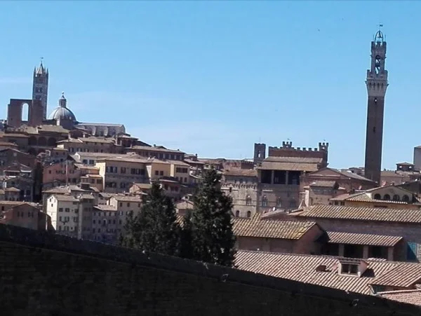 Tour of Siena in 3 hours