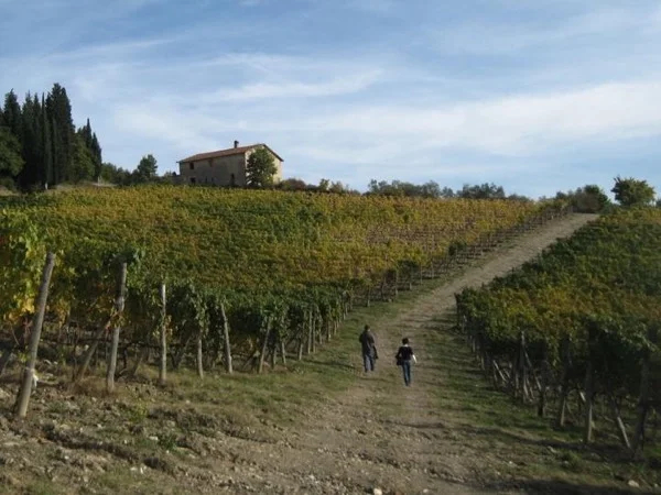Easy Chianti Hike