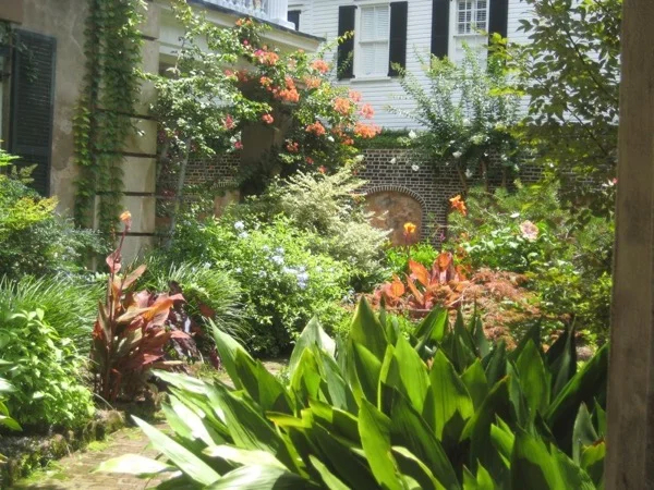 Garden Glimpses