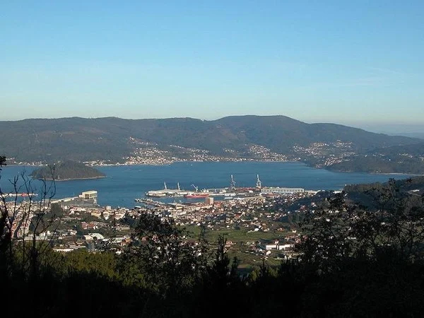 Cover media image