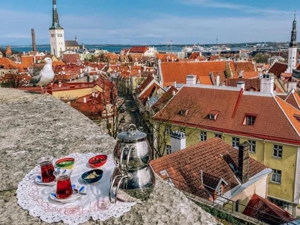 The best private Tallinn tour with children including Marzipan modelling workshop