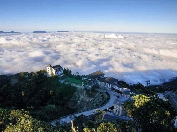 Cover media image