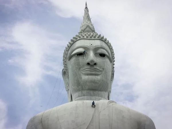 Cover media image