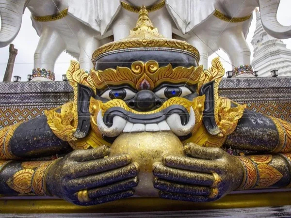 Cover media image