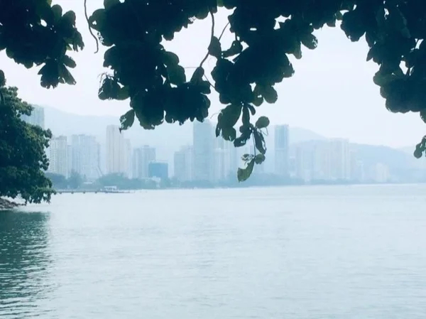 Let's Explore The Pearl of The Orient with me.- Shore Excursion