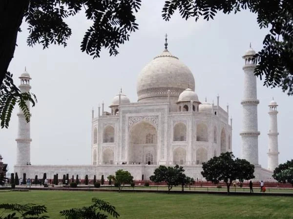 Cover media image