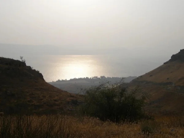 Cover media image