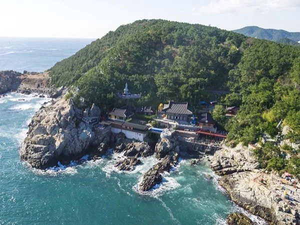 Best Attractions for Busan Private Tour and Shore excursion