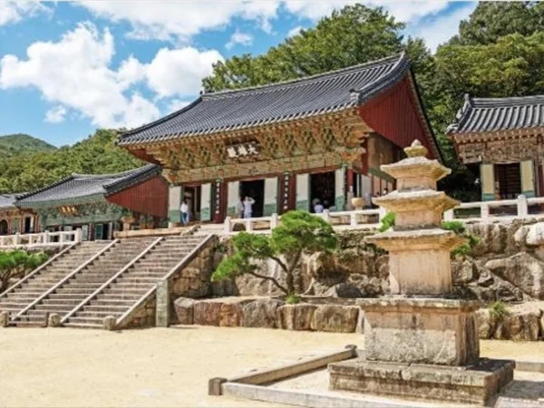 Busan Cultural Tour and Art Tour Customizable