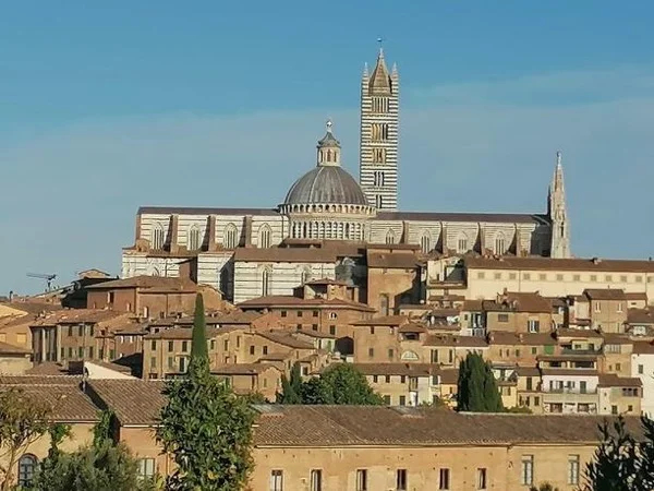 Accessible Siena