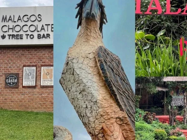 Philippine Eagle and Nature Park Eco-Tourism, discover Davao City's Gems