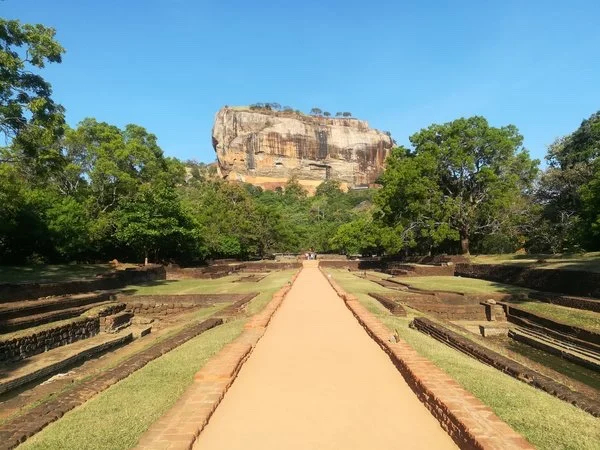 Sigiriya Rock, Village Tour and Minneriya Wild Safari Tour From Dambulla