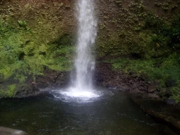 Beach and Waterfalls Private Tour