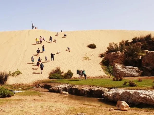 Walk to the cascade and marabout of Sidi Mbark & for a tea to Kaouki