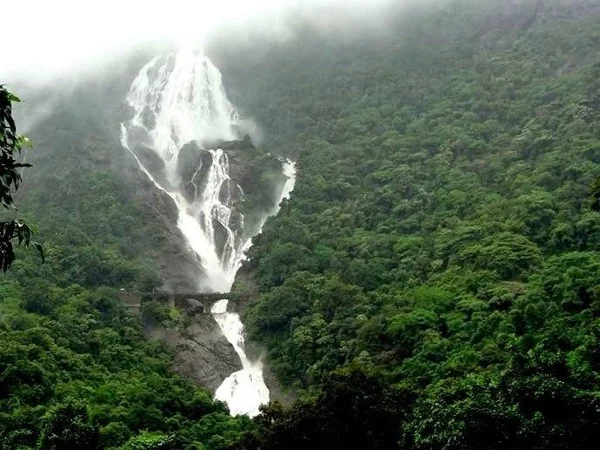 Goa - Dudhsagar Waterfall Adventure - Full Day Tour