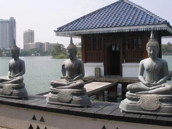 Cover media image
